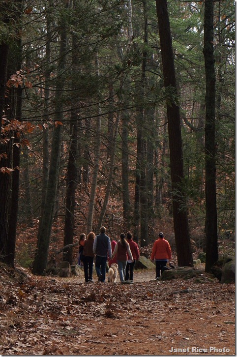 DSC00893 - Copy - Copy