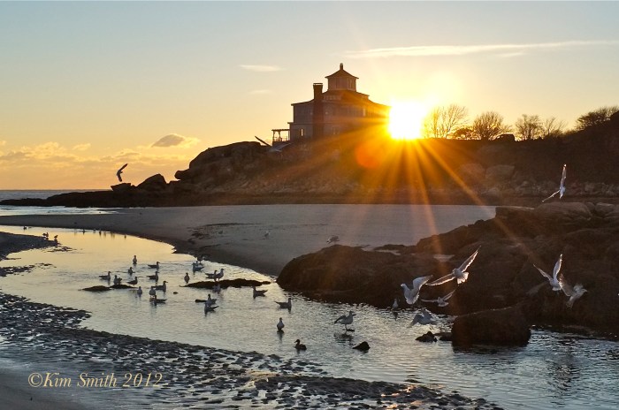Good Harbor Beach -2©Kim Smith 2012