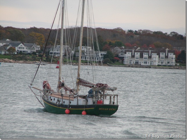 marshes, SB cut bridge etc 022