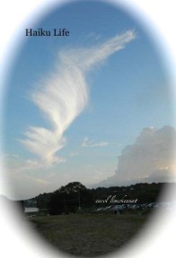 carol mckenna_haiku life