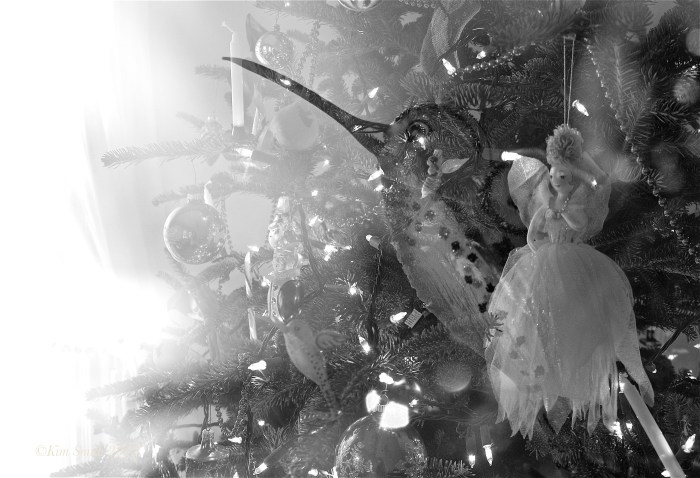 Christmas Fujifilm X-E1 Multiple Exposure -5 ©Kim Smith 2012