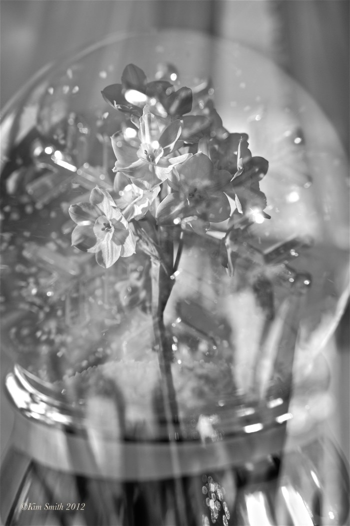 Christmas Fujifilm X-E1 Multiple Exposure ©Kim Smith 2012 copy