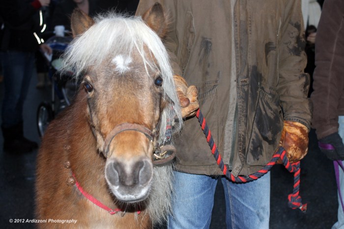 December 1, 2012 Look who was waiting for Santa in Rockport