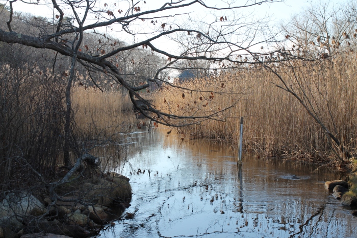 December 13, 2012 The calmness of Clark Pond