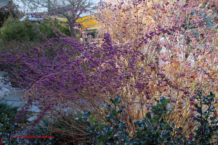 December 3, 2012 on a warm December day