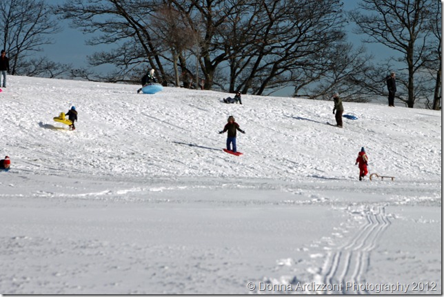 December 30, 2012 coasting at Stage Fort Park December 30, 2012 coasting at Stage Fort Park