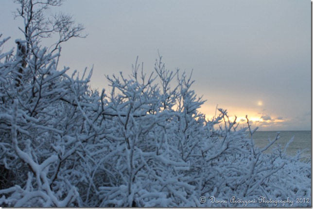 December 30, 2012 Winter wonderland