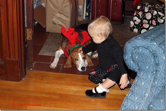 December 8, 2012 Rose and Avery