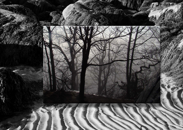 easter fog and sand lines copy