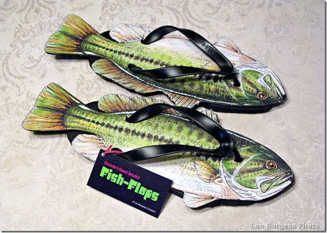 FishFlops_4788