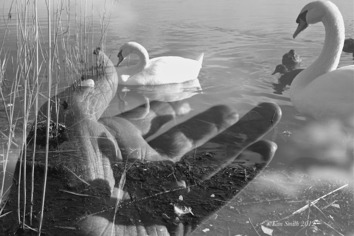 Fujifilm X-E1 Multiple Exposure -4 ©KIm Smith 2012