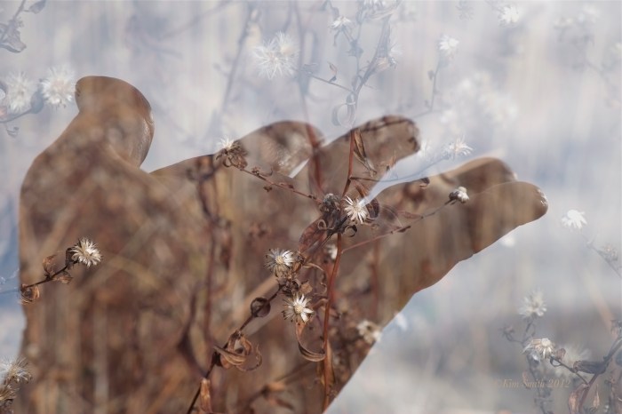 Fujifilm X-E1 Multiple Exposure ©KIm Smith 2012