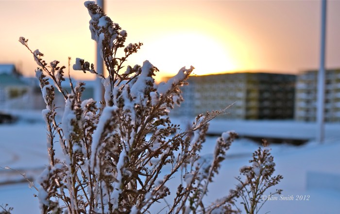 Harbor Walk Dawn Winter ©Kim Smith 2012