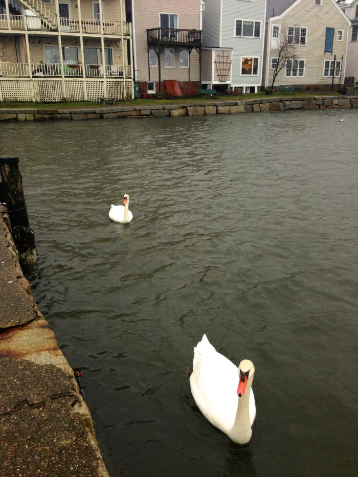Rockport Harbor High Tide 12/27/12