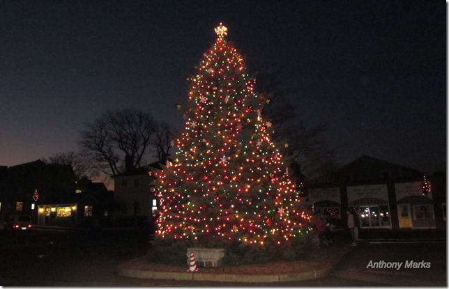 Dock Square Christmas Tree Rockport Ma.