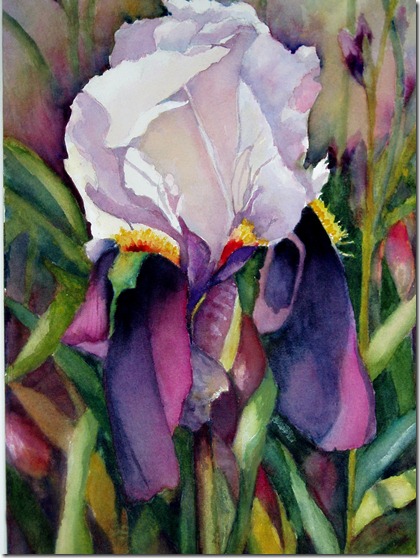 Iris_by_Nancy_Caplan