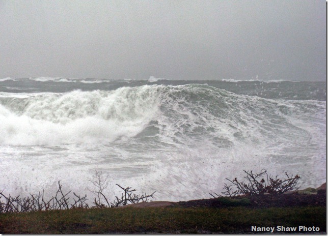 webamazinglylgwave_1720-copy