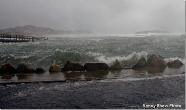 webgoodcloseuplgwavesatstreetbridge1697-copy