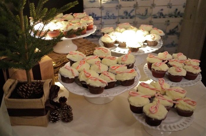 Willowdale Holiday Concert-3©Kim Smith 2012