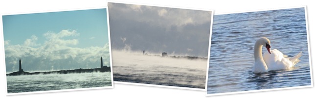 View album View album