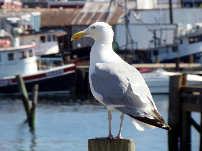 This is my post, got it?