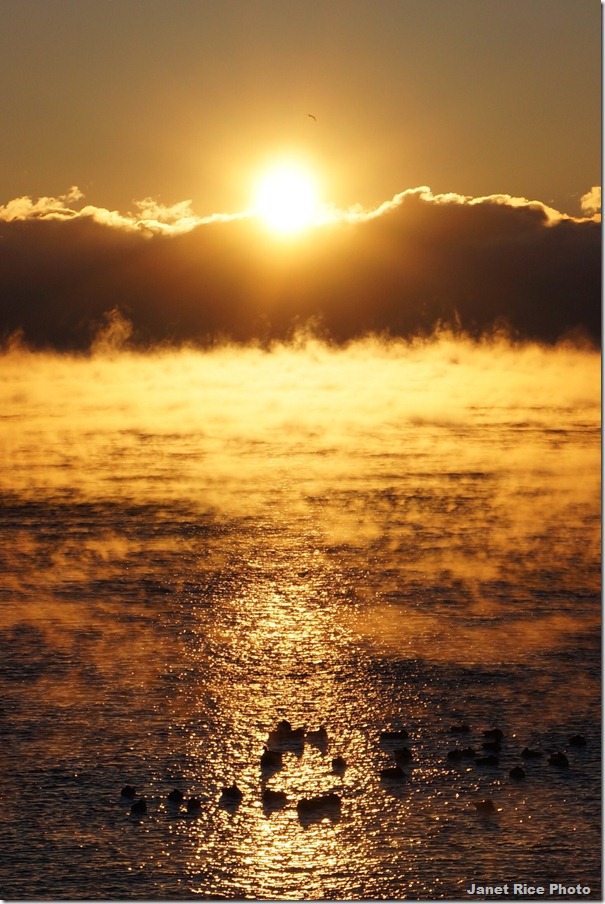 DSC01845 - Copy - Copy