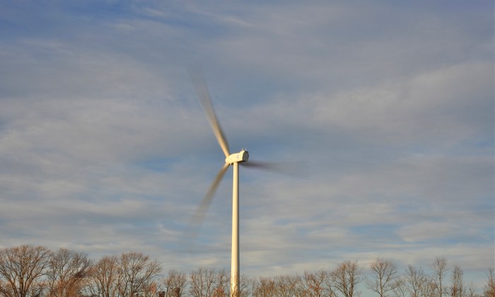 Photo Thom Falzarano