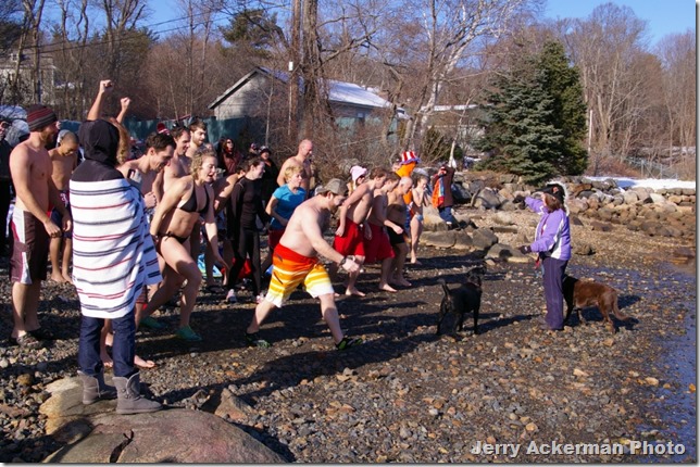 FW Cove Plunge 2013 003