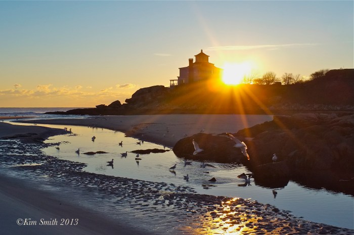 Good Harbor Beach Seagulls ©KIm Smith 2013