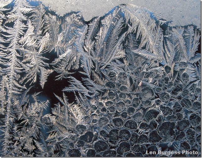 IceCrystal12-31-'12_4880