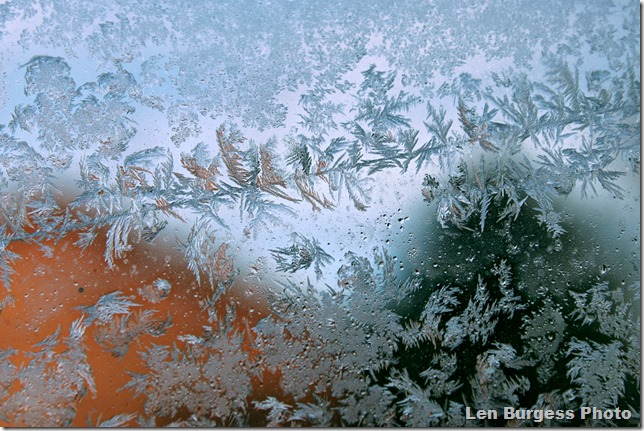 IceCrystal12-31-'12_5074