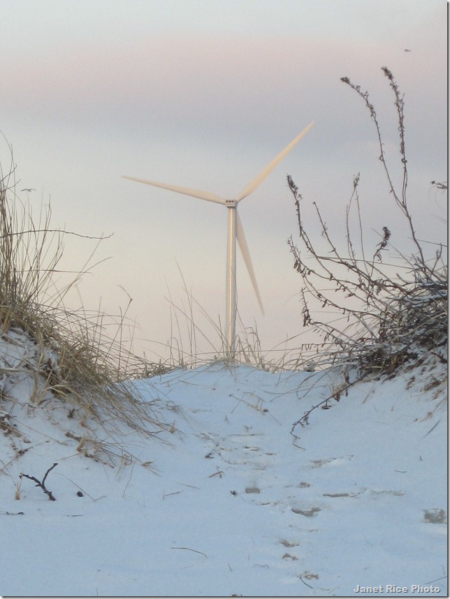 IMG_2092 - Copy - Copy