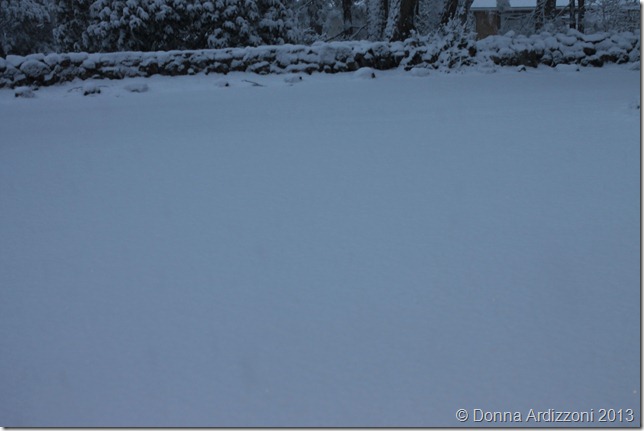 Janaury 16, 2013 unspoiled