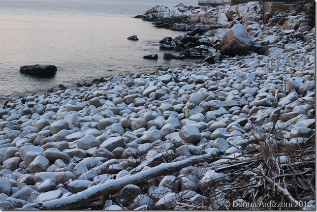 January 22, 2013 just a dusting