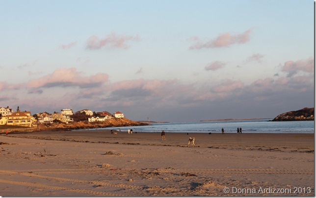 January 8, 2012 Late afternoon at GHB