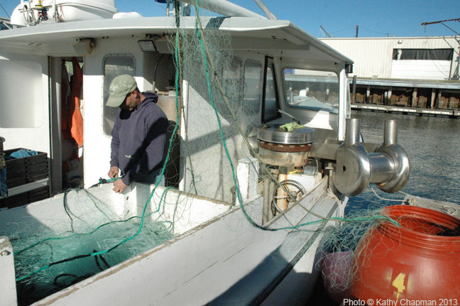 PerchNetsNativeSonChapman