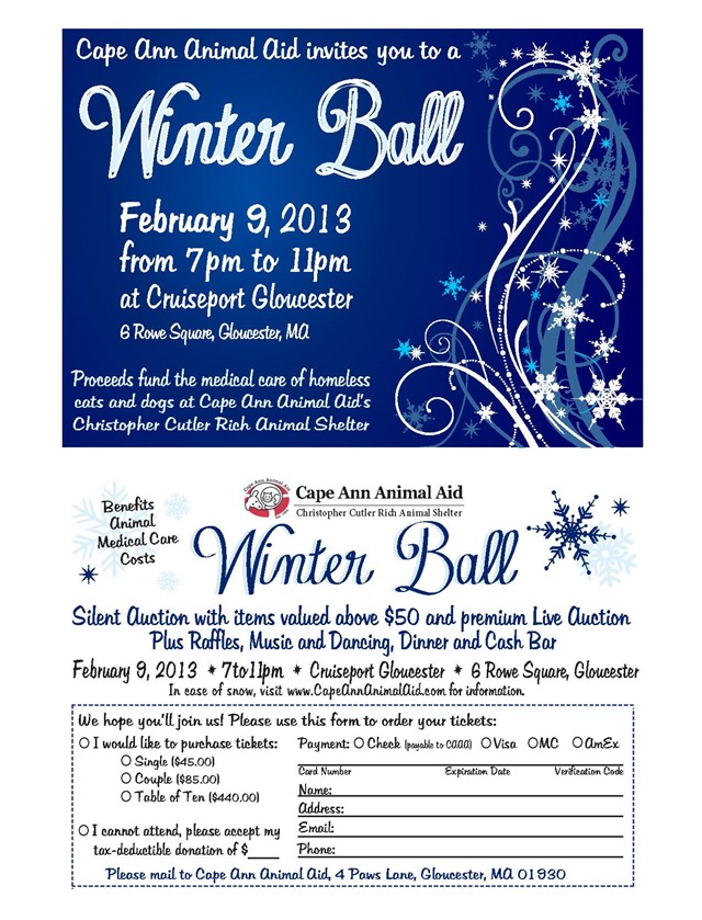 WinterBall2013_Invitation