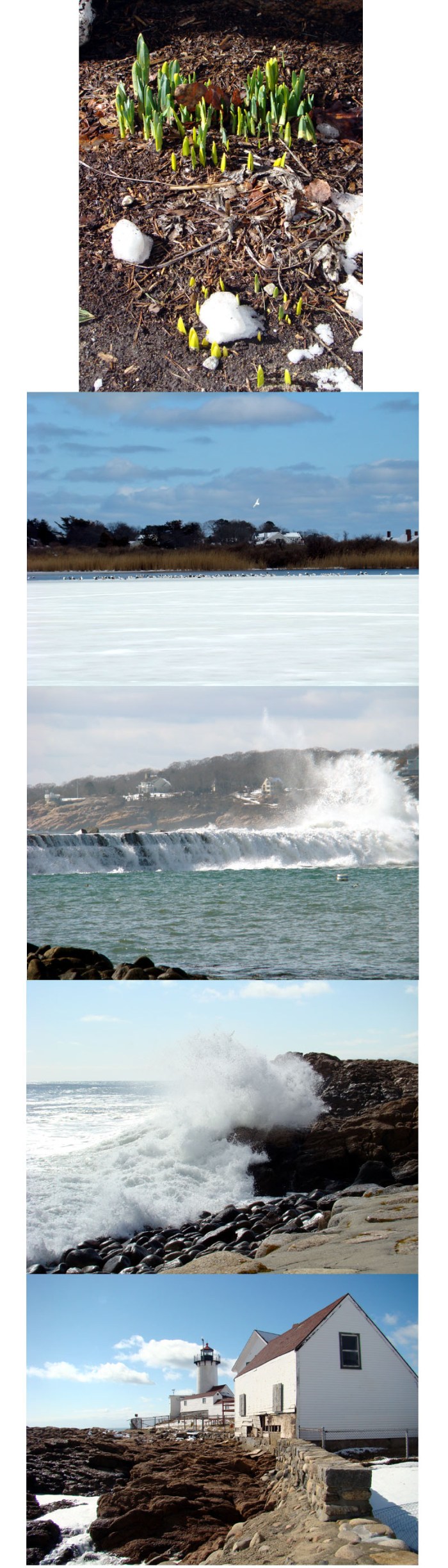 eastern point winter walk