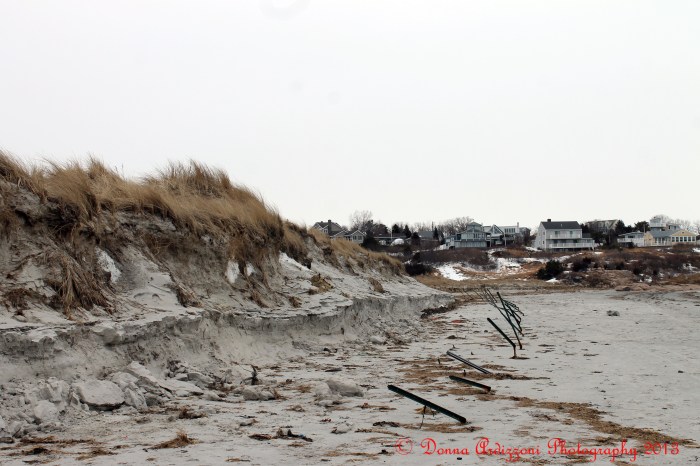 February 16, 2013 Wingersheek Beach