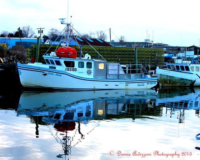 February 5, 2013 reflec on Cripple Cove