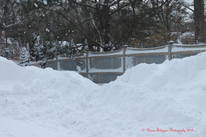 February 9, 2013 this is not good