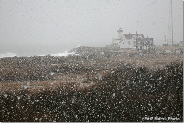 Gloucester 2-23-13 (8a) Snow