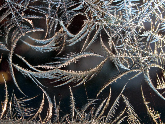 IceCrystalFish1'13_5654