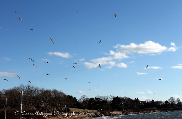 January 31, 2013 some good fishing