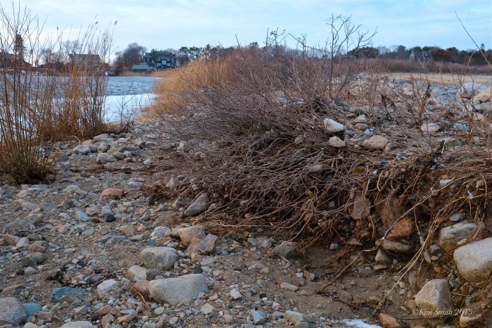 Niles Pond Brace Cove Storm Damage -4 ©Kim Smith 2013.