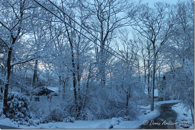 Pretty morning after the snow