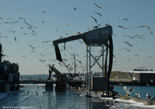 SaltMachineStateFishPier