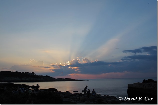 2013March Dodgeball Cannon 001