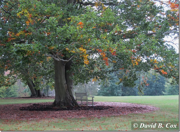 2013March Dodgeball Cannon 003(1)