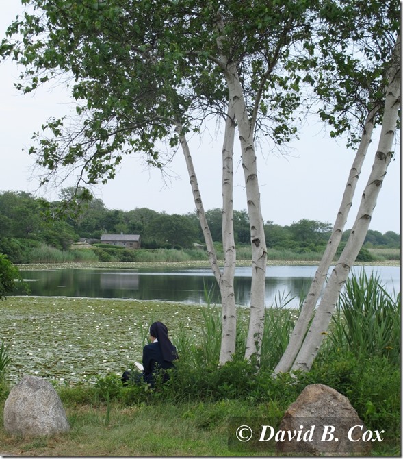 2013March Dodgeball Cannon 006